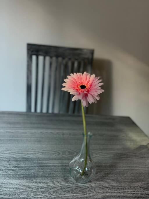 Hermoso Departamento En Coyoacan メキシコシティ エクステリア 写真