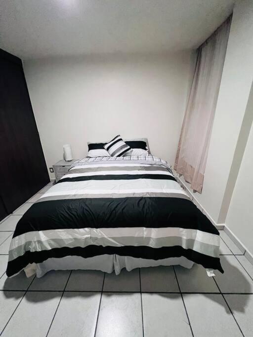 Hermoso Departamento En Coyoacan メキシコシティ エクステリア 写真