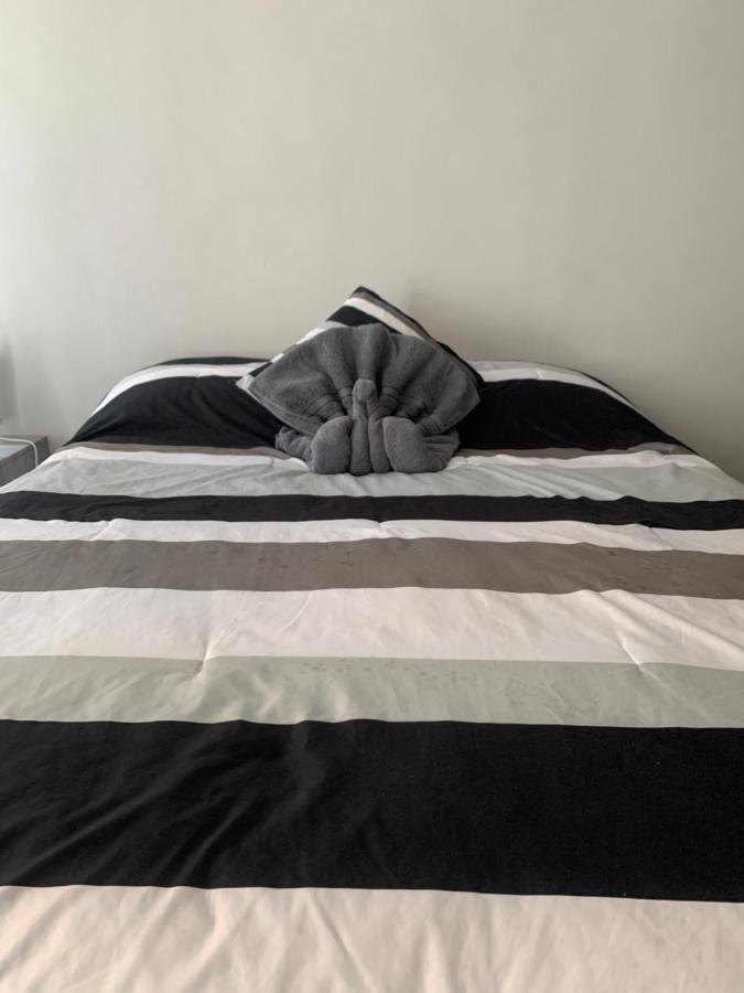 Hermoso Departamento En Coyoacan メキシコシティ エクステリア 写真